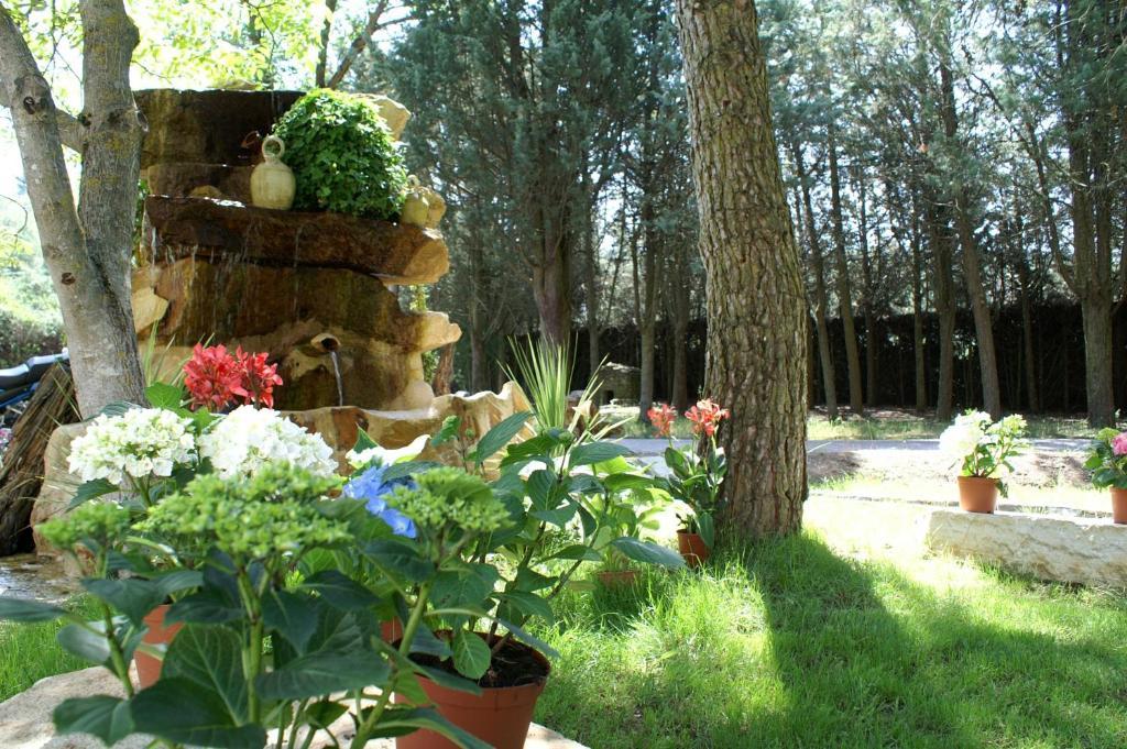 Hotel Rural Villarromana 살다나 외부 사진