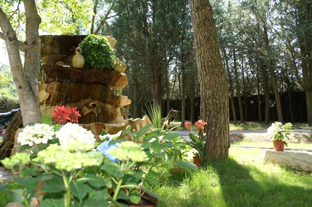 Hotel Rural Villarromana 살다나 외부 사진